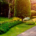 Landscaping in Milton, MA