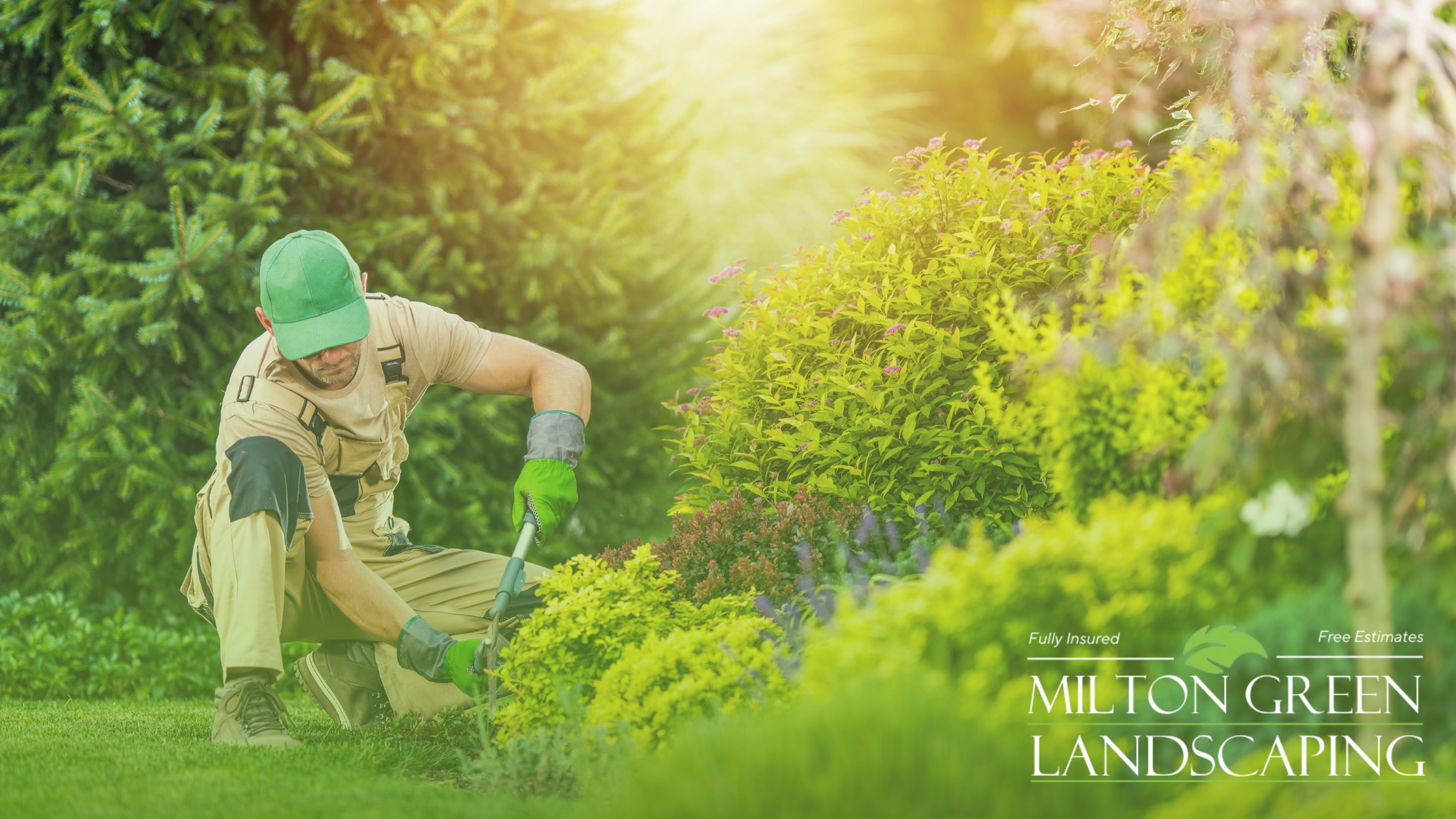 Stunning Residential Landscaping Elevate Your Home’s Curb Appeal