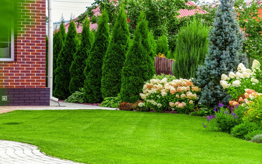 Landscaping for Small Spaces: Making the Most of Compact Backyards