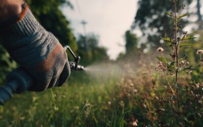 Sustainable Gardens: Efficient Irrigation and Rainwater Harvesting for Smarter Landscaping