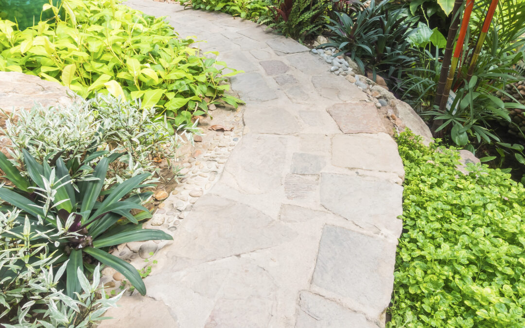 High-ROI Landscaping: How to Increase Your Milton Home’s Property Value