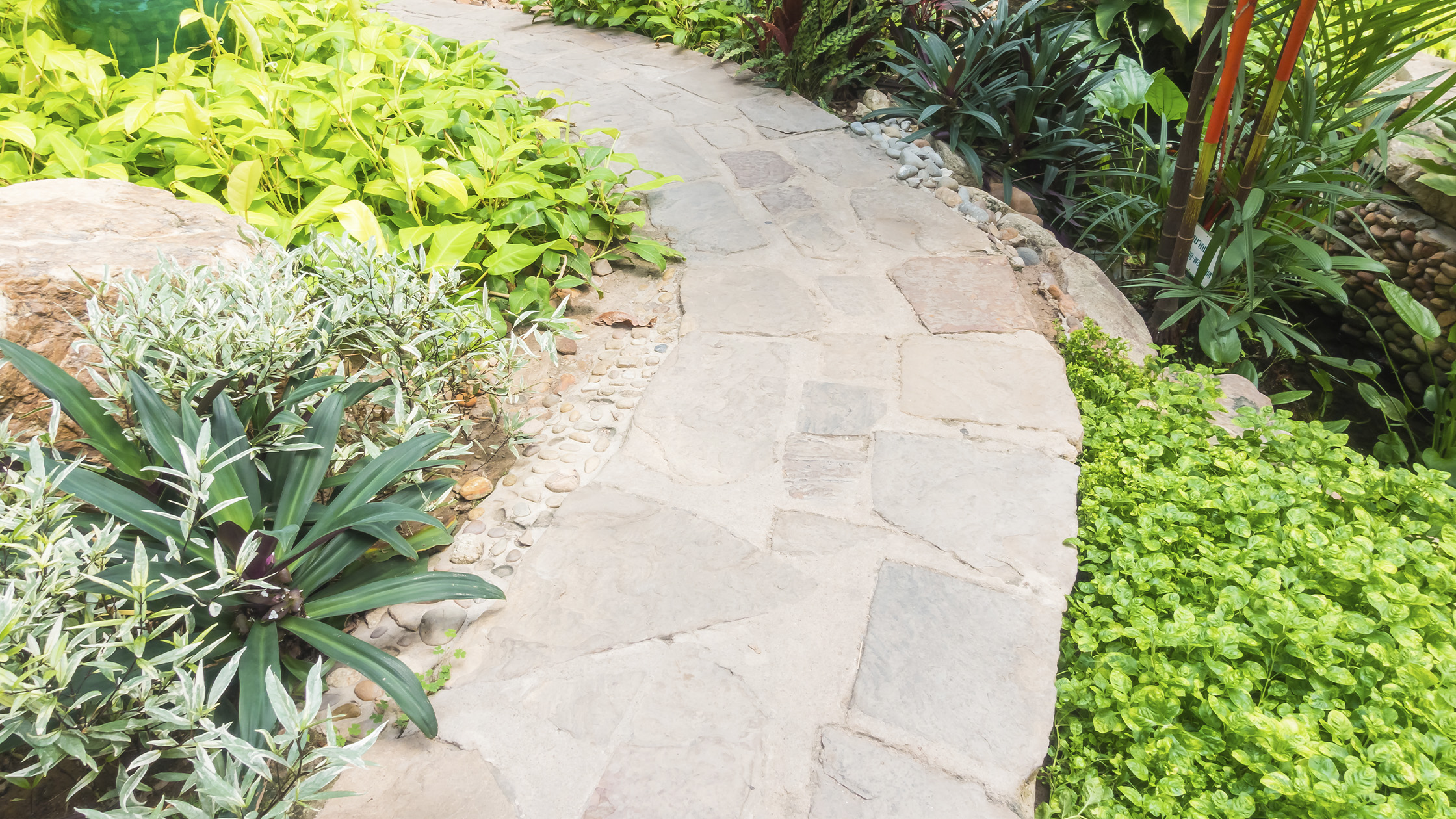 Increase property value landscaping Milton MA